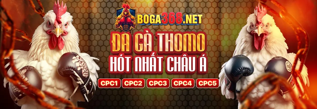 Hình ảnh đá gà trực tuyến tại 89bet1